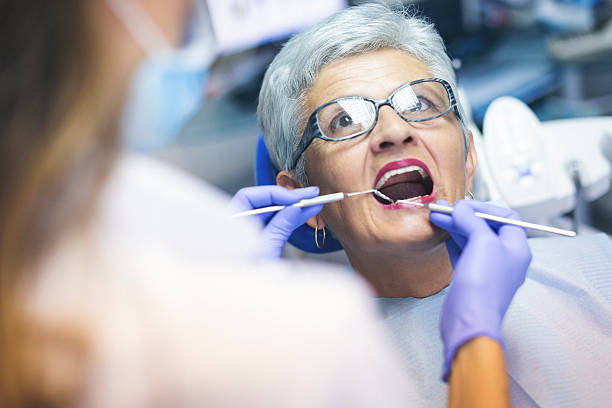 Professional  Holistic Dental Services in Sebastopol, CA